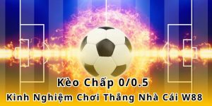 Kèo Chấp 0/0.5 - Kinh Nghiệm Chơi Thắng Nhà Cái W88