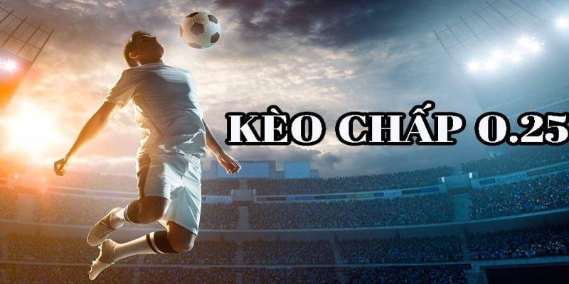 Giới thiệu kèo chấp 1 4